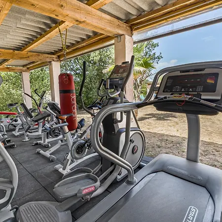 Provence: Spacious Family Retreat With Fitness Center Montauroux